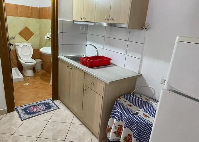 公寓式酒店 Vladmir Sela