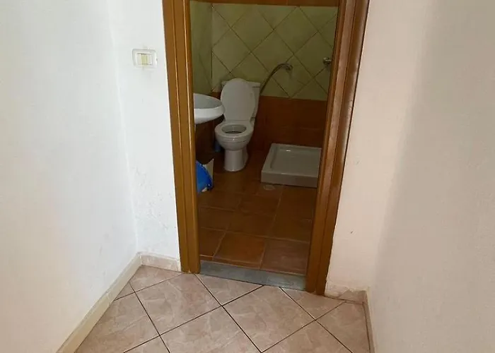 Vladmir Sela 卡萨米尔